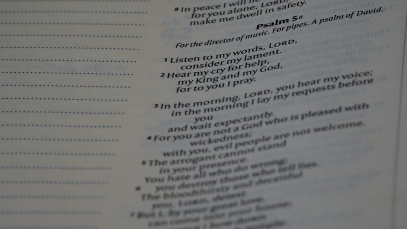 整体院のMEO対策完全ガイド｜Googleマップで新患を増やす7つのステップ