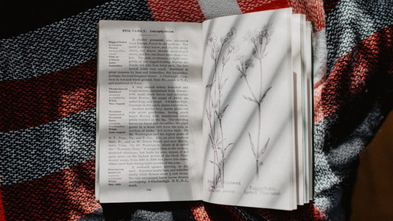 整体院のLINE公式アカウント活用術｜既存患者を呼び戻す自動配信の仕組み